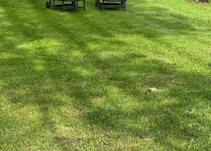 Theophile Fenal Prázdninový dům *